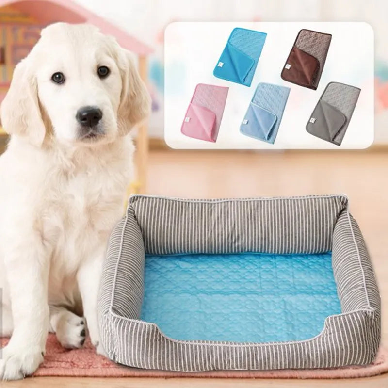 Gardez votre chien au frais sans effort.