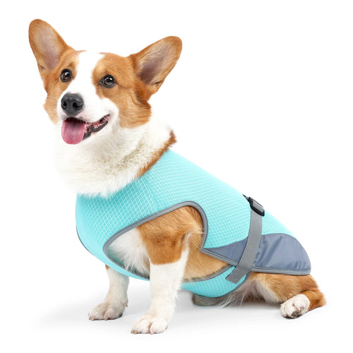 Gilet Rafraîchissant pour Chien — Anti-Canicule
