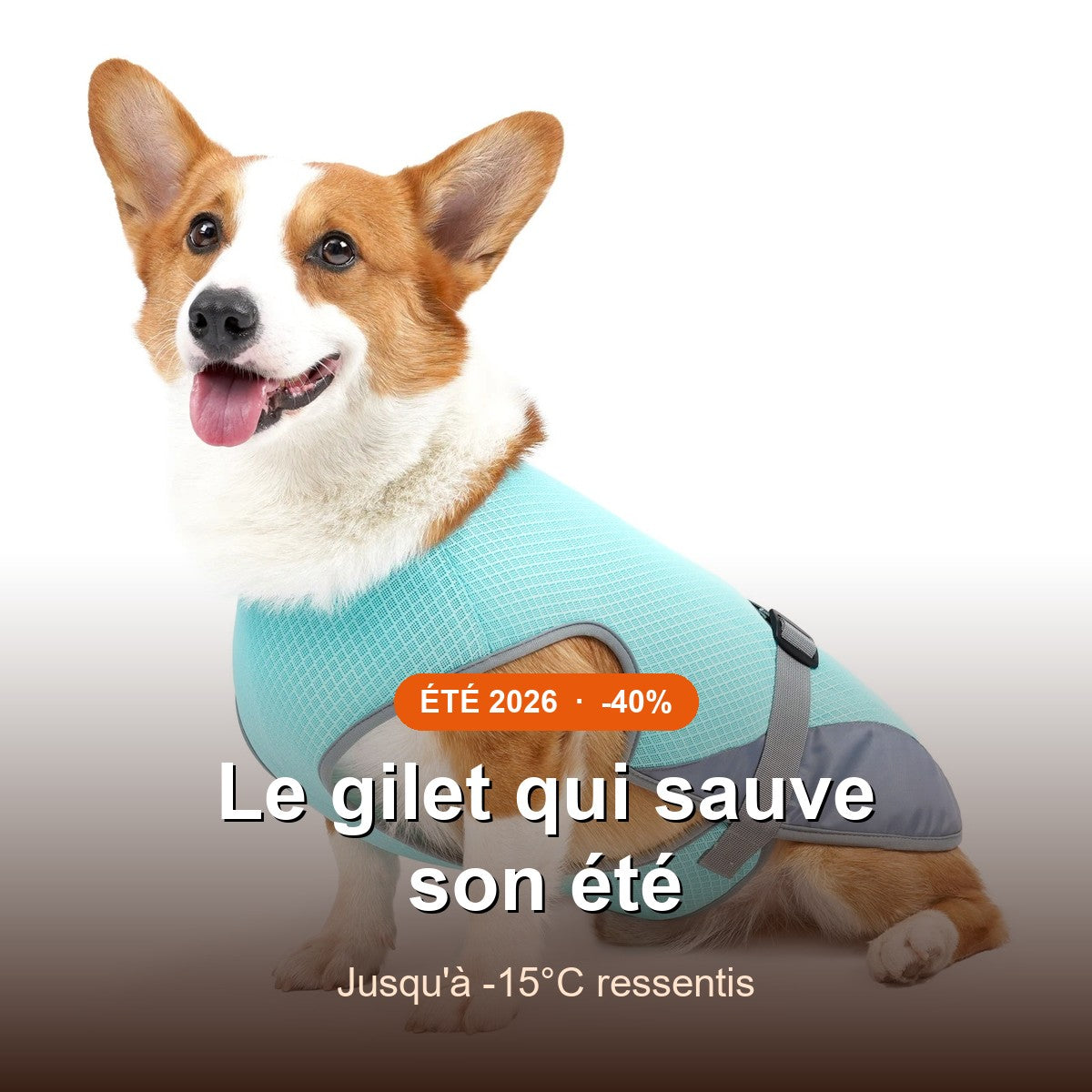 Gilet Rafraîchissant